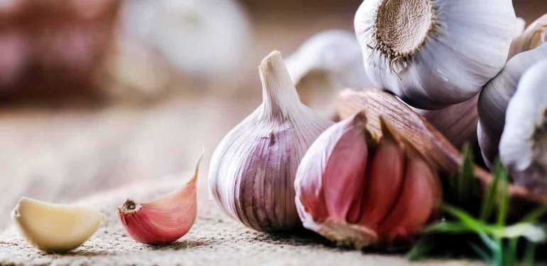 Sarımsağın Yüzyıllık Mucizesi ve Sarımsakla Sağlıklı Yaşam Sırları