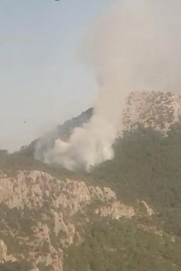 İzmir Kemalpaşa'da Orman Yangını